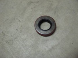 STEERING WORM OIL SEAL