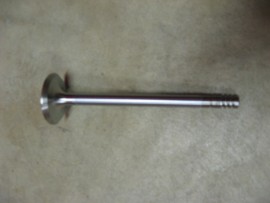 Intake Valve