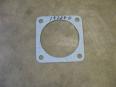 THEROSTAT CAGE GASKET