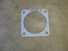 THEROSTAT CAGE GASKET